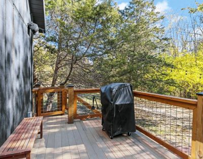 secluded cabin on 25 river front