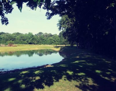 Private fishing pond with cabin and hot tub!! Perfect vacation spot.