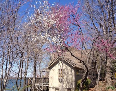 Love Sunsets? Glory in a natural and rustic setting