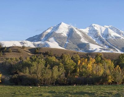 Cozy, Rustic Cabins near Chico Hot Springs