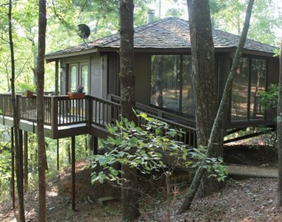 Treetop Cabin in Big Canoe. Walk to most Amenties! GREAT WEEKLY RATES