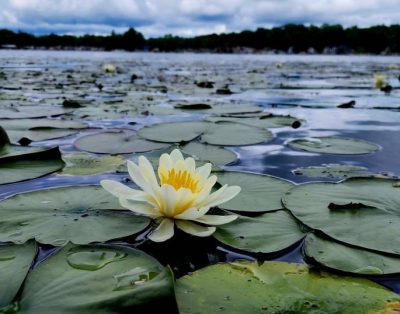 Beautiful Canadohta Lake Home