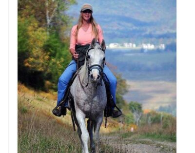 Fabulous Rustic Mountain Cabin walking distance to Timberline Mountain Slopes