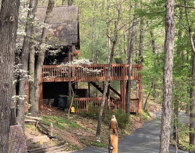 Log Cabin In The Woods