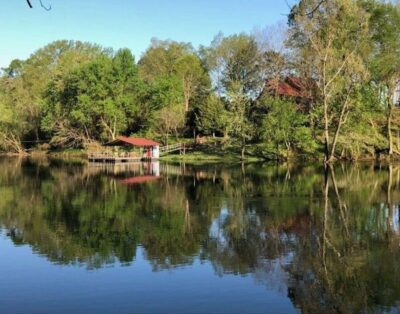 Little Red Tree House on the Little Red River on 8 Private Acres with Large Do