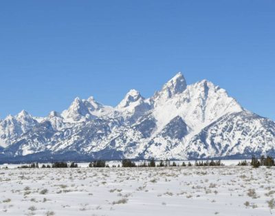 The Yellowstone Cabin