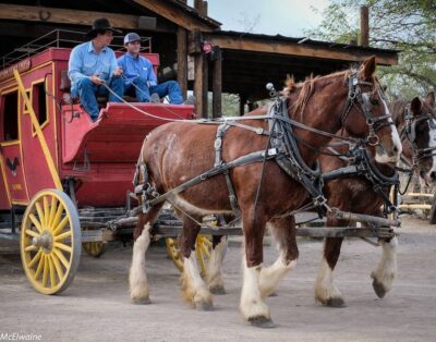 Located in Starr Pass Resort & the Tucson Mountains