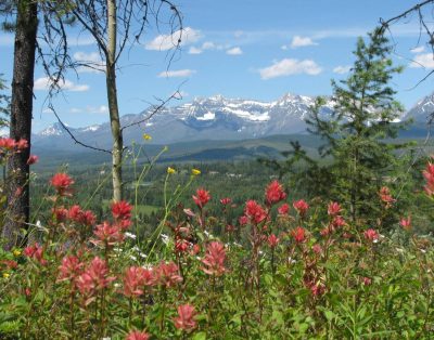 A little heavenly peace, cabin No. 3