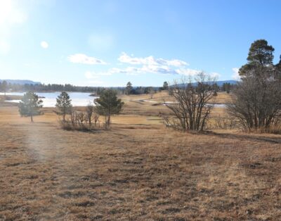 Cozy Townhouse in Uptown Pagosa Near Golf Course