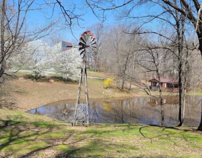 Lifetime memories, WIFI, Hot tub, Fire Pit, Gas Grill, High Chair, Bird Watching