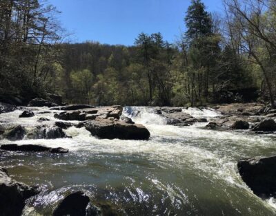 Chestatee River Cabin