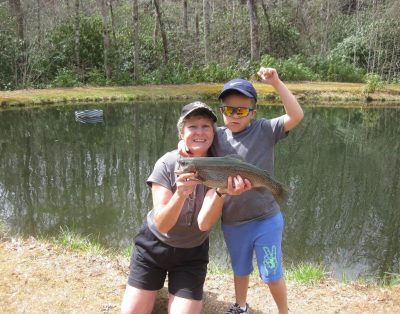 Log Cabin, Trout Pond on 17 Acres, Near Dupont State Forest, very private