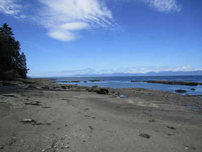 Secluded Strait of Juan De Fuca Waterfront, Stunning View