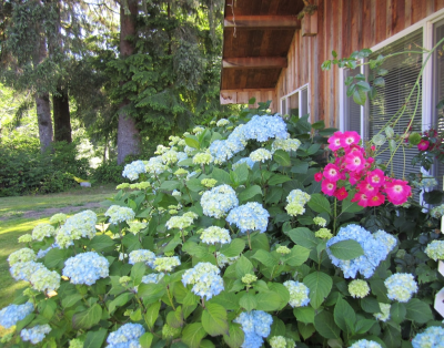 All Cedar Cabin On The Sol Duc River – Close to the Park’s Favorite Places