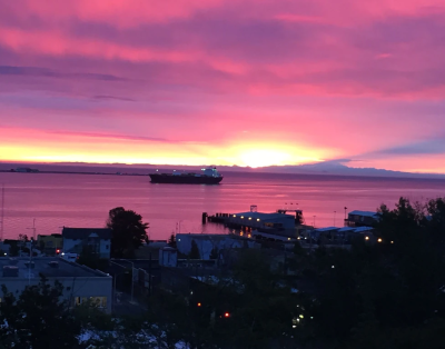 Great Harbor Views