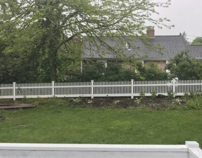 Dog Friendly with a fenced in large yard