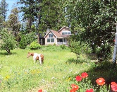 Meadow House near Crater Lake South entrance, upper Rogue River, 100 acre trails