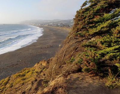 Cute Upgraded Cottage 100 feet from Beach