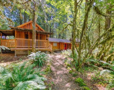 Private cabin with hot tub & wood stove, near Mt. Hood