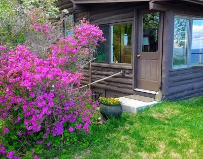 Waterfront Log Cabin