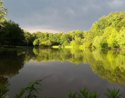 The Peaceful Retreat Near Birmingham