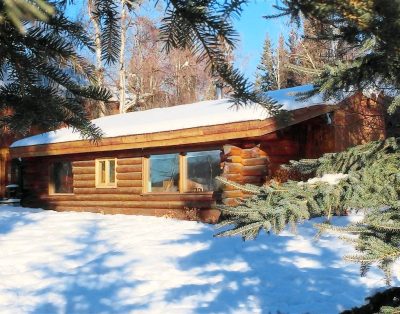 Cozy two bedroom log cabin